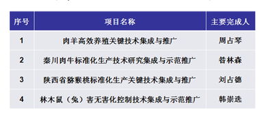 科技推廣新引擎 軟件開發賦能數字化轉型與創新未來
